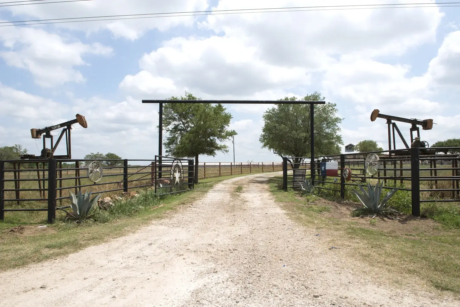 Cattle ranch with a working oil pump jack