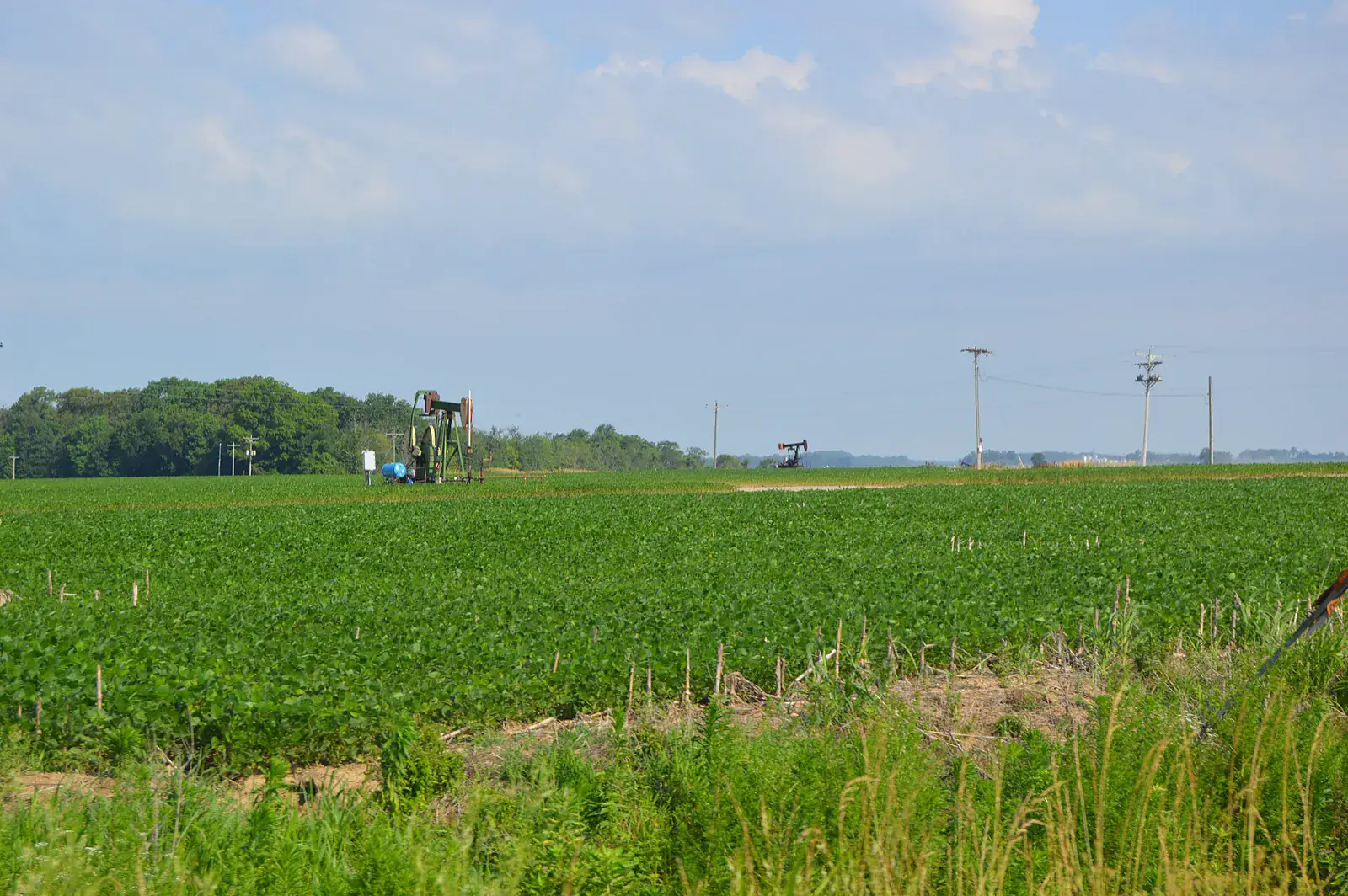 Oil and gas in Illinois: pumpjacks among green crop fields in Emma Township, White County, Illinois