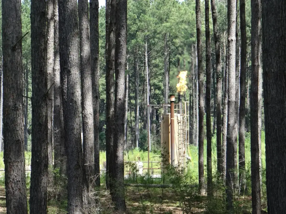 Sell mineral rights in Mississippi: a natural gas flare burning at a well pad in a pine forest near Liberty, Mississippi