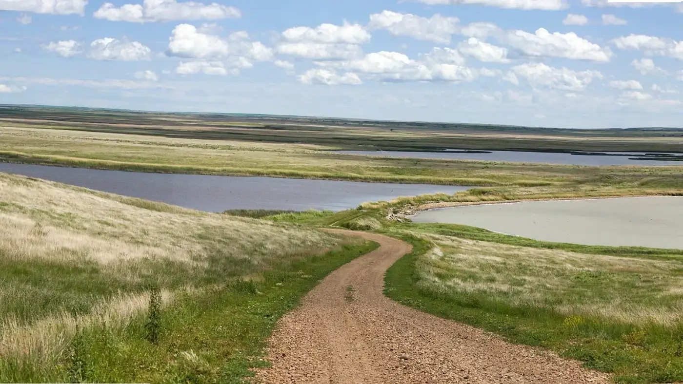 Sell mineral rights in Montana: a dirt track curving across rolling prairie above lakes at Medicine Lake National Wildlife Refuge in northeastern Montana